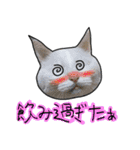 ハク様【飲みにけーしょん】（個別スタンプ：37）