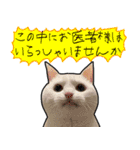 ハク様【飲みにけーしょん】（個別スタンプ：38）