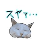 ハク様【飲みにけーしょん】（個別スタンプ：39）