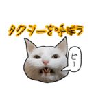 ハク様【飲みにけーしょん】（個別スタンプ：40）