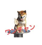 柴犬ポン太☆ちょいギャル！？（個別スタンプ：4）