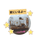 myハムスター（個別スタンプ：3）