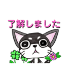 柳岡家のコロ助スタンプ（個別スタンプ：1）