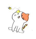 自由気ままな猫とほのぼのライフ（個別スタンプ：16）