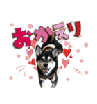 柴犬ヤンと仲間達（個別スタンプ：20）