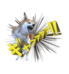 柴犬ヤンと仲間達（個別スタンプ：24）