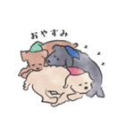 さんびきのわんこ（個別スタンプ：11）