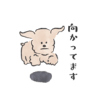 さんびきのわんこ（個別スタンプ：20）