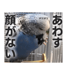 すぺしゃるとりずらいふ（個別スタンプ：1）