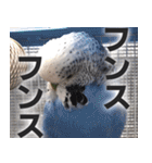 すぺしゃるとりずらいふ（個別スタンプ：3）