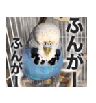 すぺしゃるとりずらいふ（個別スタンプ：4）