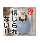 すぺしゃるとりずらいふ（個別スタンプ：5）