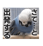 すぺしゃるとりずらいふ（個別スタンプ：6）