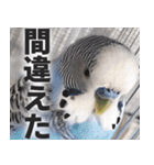 すぺしゃるとりずらいふ（個別スタンプ：7）