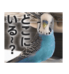 すぺしゃるとりずらいふ（個別スタンプ：8）