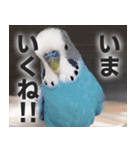 すぺしゃるとりずらいふ（個別スタンプ：9）