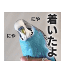 すぺしゃるとりずらいふ（個別スタンプ：10）