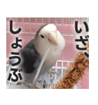 すぺしゃるとりずらいふ（個別スタンプ：11）