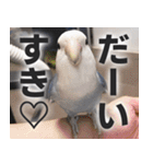 すぺしゃるとりずらいふ（個別スタンプ：13）