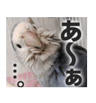 すぺしゃるとりずらいふ（個別スタンプ：14）