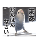 すぺしゃるとりずらいふ（個別スタンプ：15）