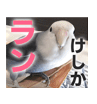 すぺしゃるとりずらいふ（個別スタンプ：18）