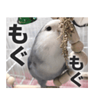 すぺしゃるとりずらいふ（個別スタンプ：19）