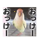 すぺしゃるとりずらいふ（個別スタンプ：21）