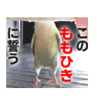 すぺしゃるとりずらいふ（個別スタンプ：23）