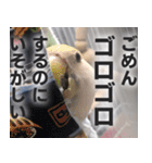 すぺしゃるとりずらいふ（個別スタンプ：24）