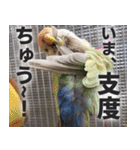 すぺしゃるとりずらいふ（個別スタンプ：25）