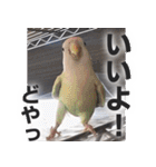 すぺしゃるとりずらいふ（個別スタンプ：26）