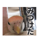 すぺしゃるとりずらいふ（個別スタンプ：27）