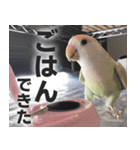 すぺしゃるとりずらいふ（個別スタンプ：28）