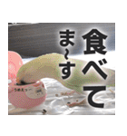 すぺしゃるとりずらいふ（個別スタンプ：29）