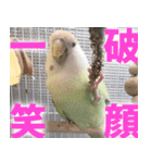 すぺしゃるとりずらいふ（個別スタンプ：32）