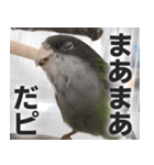 すぺしゃるとりずらいふ（個別スタンプ：33）