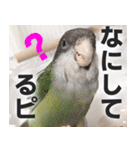 すぺしゃるとりずらいふ（個別スタンプ：34）