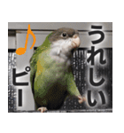 すぺしゃるとりずらいふ（個別スタンプ：35）
