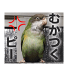 すぺしゃるとりずらいふ（個別スタンプ：36）