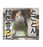 すぺしゃるとりずらいふ（個別スタンプ：37）