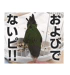 すぺしゃるとりずらいふ（個別スタンプ：38）