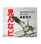 すぺしゃるとりずらいふ（個別スタンプ：40）