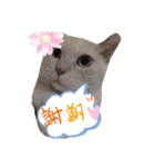 宮立家のペット達✳♥（個別スタンプ：3）