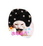 宮立家のペット達✳♥（個別スタンプ：4）