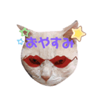宮立家のペット達✳♥（個別スタンプ：6）