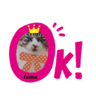宮立家のペット達✳♥（個別スタンプ：8）