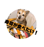 ナッツ スタンプ⑩（個別スタンプ：7）