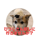 ナッツ スタンプ⑩（個別スタンプ：21）