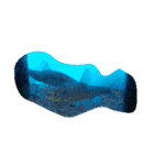 亀 熱帯魚 カエル クラゲ 珊瑚礁 写真 カモ（個別スタンプ：11）